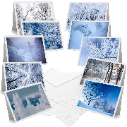 Japanese Winter Trees - Greeting Cards (Pack of 10)