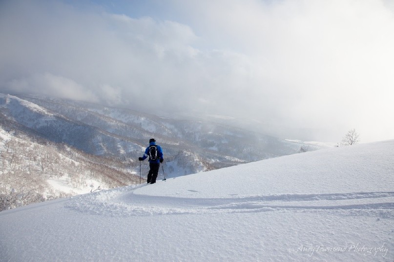 A skier pauses atop a ski run with the possibility of fresh tracks below at Rusutsu.