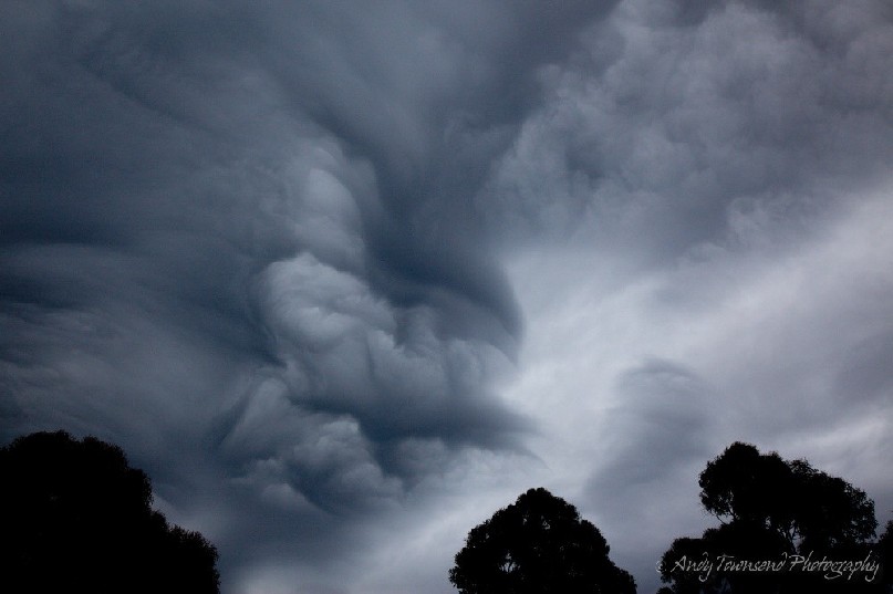 Storm clouds forming strong patterns over trees.