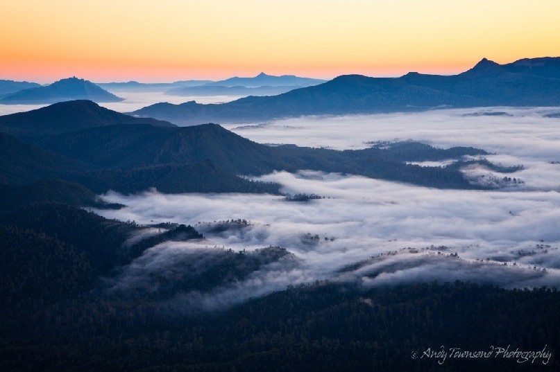 Morning mist moves down the valley like a slow moving river as the sun rises across southwest Tasmania.