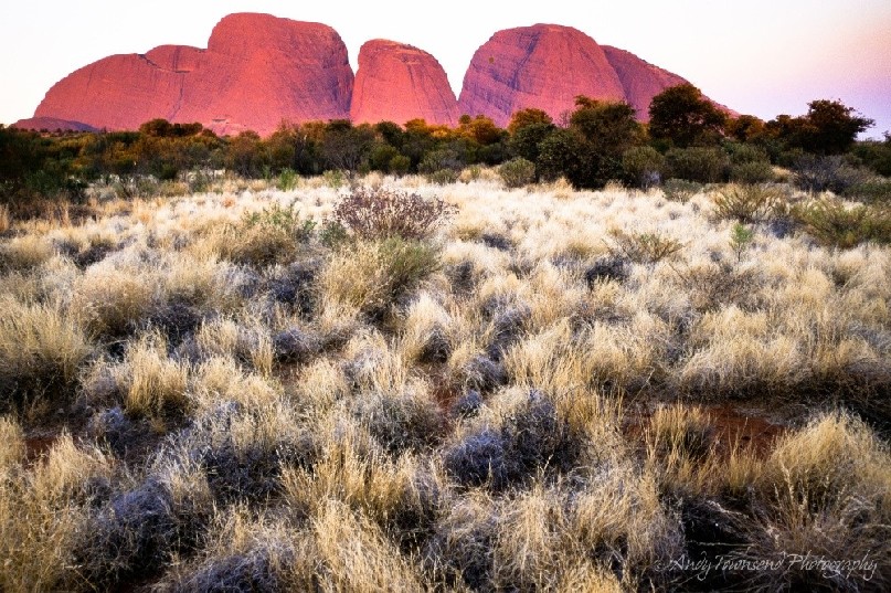 Kata Tjuta, sometimes written Tjuṯa (Kata Joota), and also known as Mount Olga (or colloquially as The Olgas), are a group of large domed rock formations or bornhardts located about 365 km (227 mi) southwest of Alice Springs, in the southern part of the Northern Territory, central Australia.