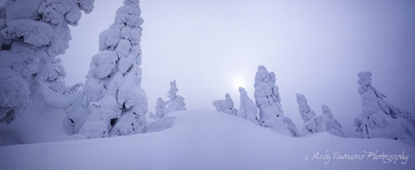 Icy rime and snow gathers over Maries’ fir (Abies mariesii) trees interspersed by wind drifted snow.