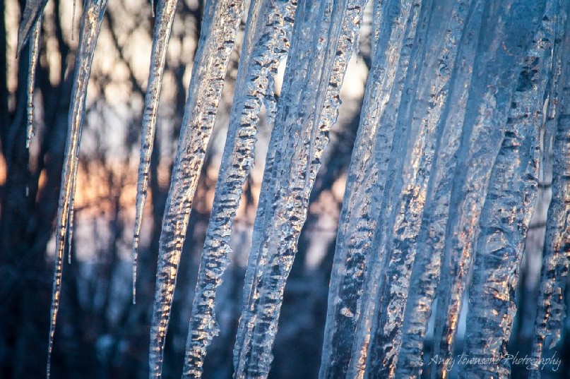 A winter progresses the ice on the edge on building creep towards the ground creating a lovely curtain effect.