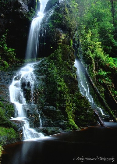 Soft, silky water cascades down the mossy falls in two streams surounded by rain forest.