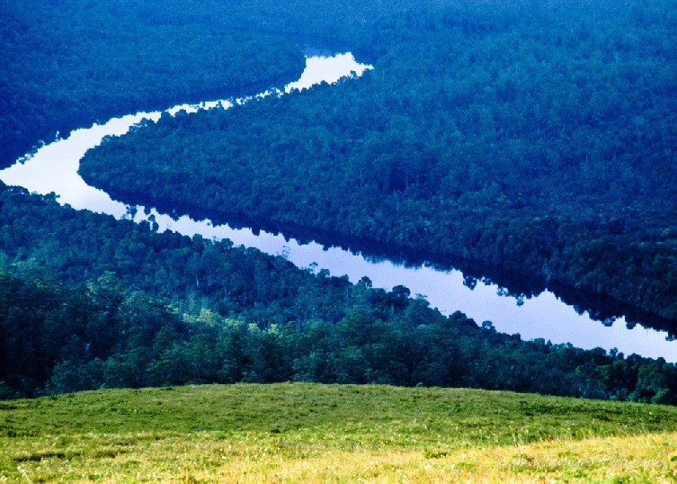 Looking down onto the twisting Pieman River and surrounding rainforest from a ridge high on Mt Donalson.