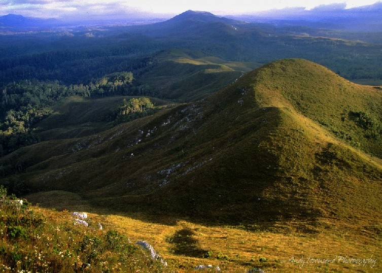 Looking north from Mt Donaldson along the buttongrass ridgetops of the longback.