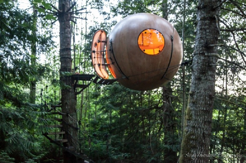 Nestled in the forest these free spirit spheres are accommodation pods suspended via cables from trees.