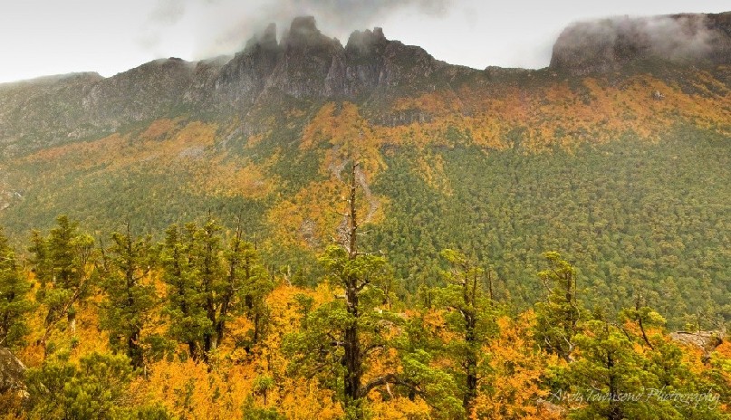A morning mist saturates the colous of autumn in this vista to Mt Geryon.