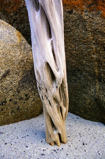 A sculpted driftwood log embedded into the white granite sand on Flinders Island.