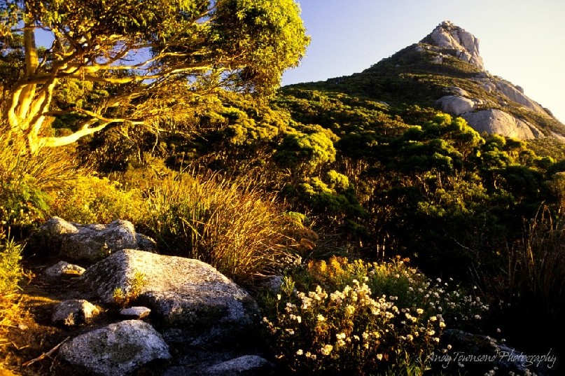 The path leading up Mt Strezelecki passes through eucalyptus forest and granite tors, Flinders Island.