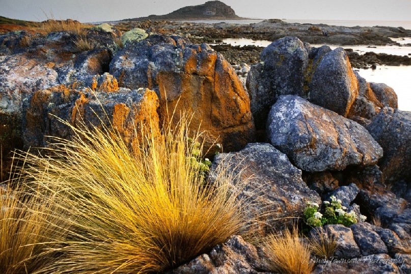 Early morning light on rocks at Egg Beach Coastal Reserve, Flinders Island.