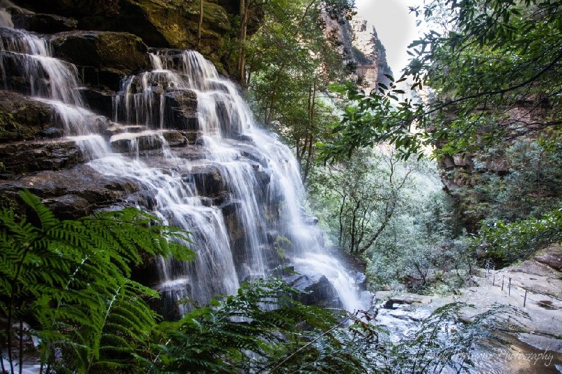 Looking out over the falls surrounded by lush rainforest to the steep cliffs beyond.