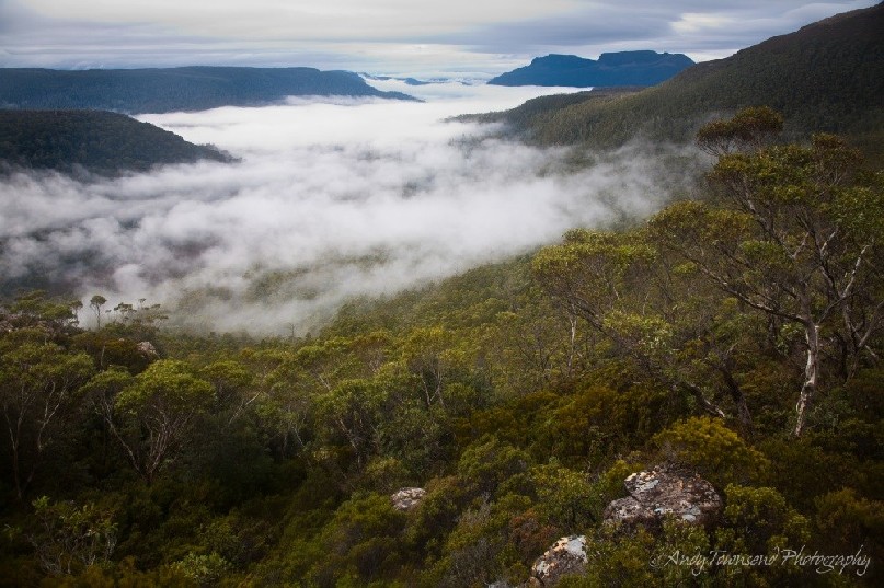 A morning mist saturates the valley from lake st clair, covering the last part of the overland track