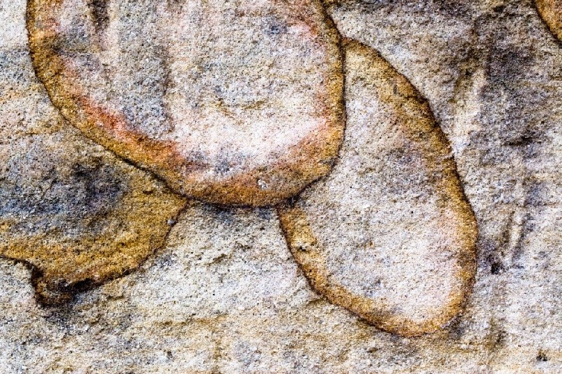 Overlapping circles of ironstone banding in this sandstone wall form beautiful patterns.