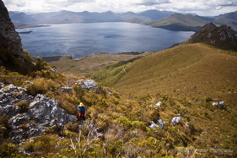 A walker tackles the final section of the climb up Mt Rugby with the view to Bathurst Harbour beyond.
