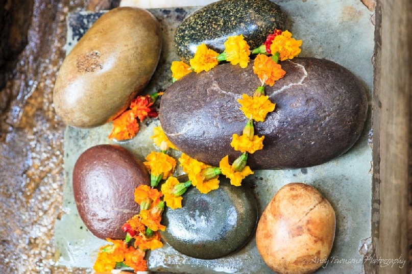 A braid of Marigold flowers drapped over smooth stones.