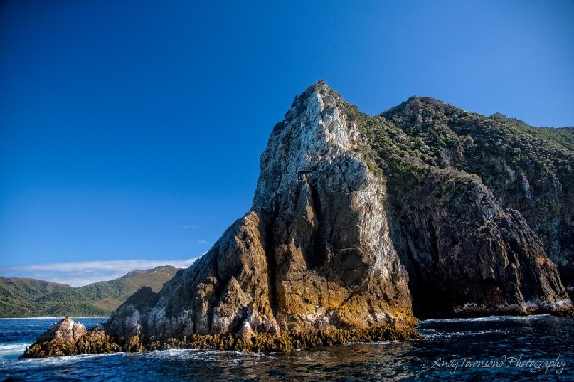 On a blue sky day sea cliffs jut out from a calm ocean along the South coast of Tasmania.
