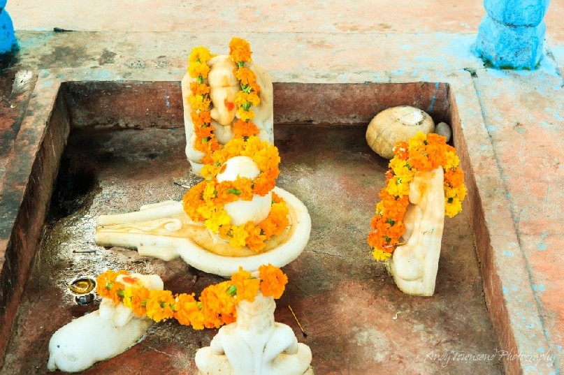 Marigold flowers adorn this small shrine near the Yamuna river in Delhi.
