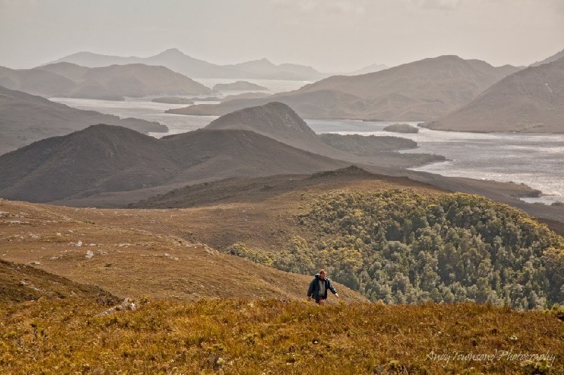 Walking up Mt Beattie with a view down the Bathurst Harbour channel in the background, Southwest National Park, Tasmania