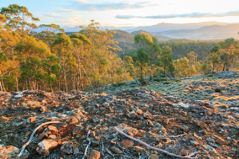 Evening light over flat rock lookout.