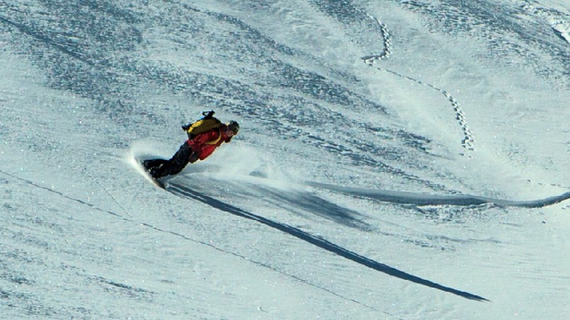 A snowboarder arcs through a turn in fresh snow with distant animal tracks behind.