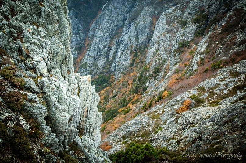 Looking into the Crater Lake cirque with the changing fagus (Nothofagus gunnii) below.