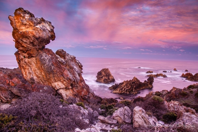 Sunrise pinks touch these old rocks on the Tarkine coast.
