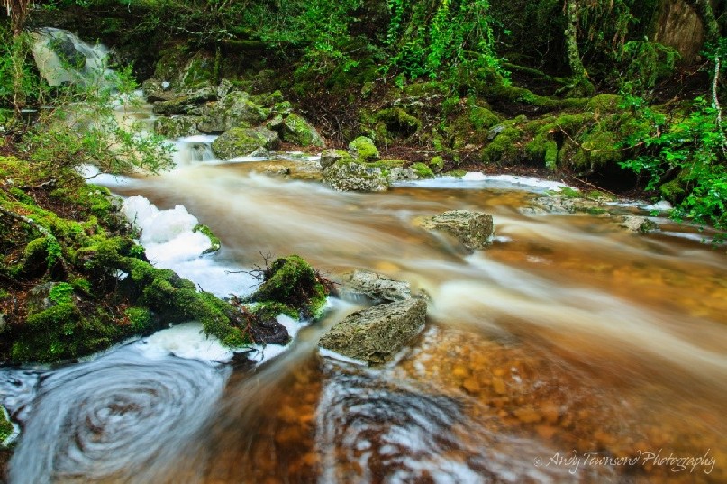 Swirling patterns and foam piles form along this swollen creek in the temperate rainforest near Cradle Mountain.
