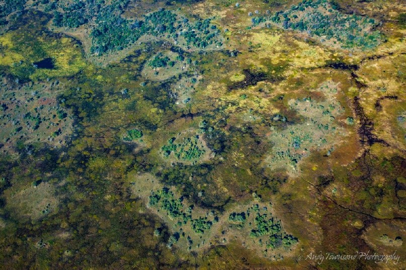 Aerial view over the Okavango Delta.