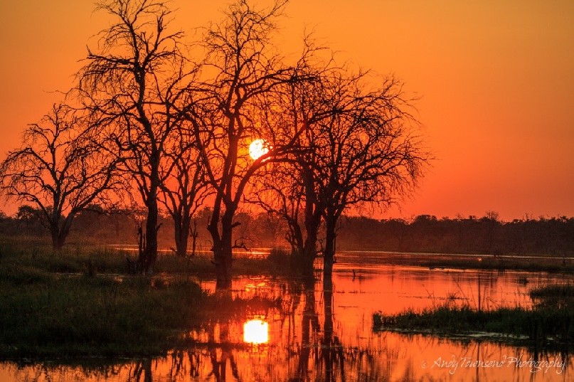 Sunset over the Okavango Delta.