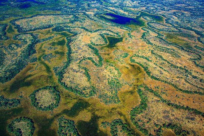 Aerial view over the Okavango Delta.