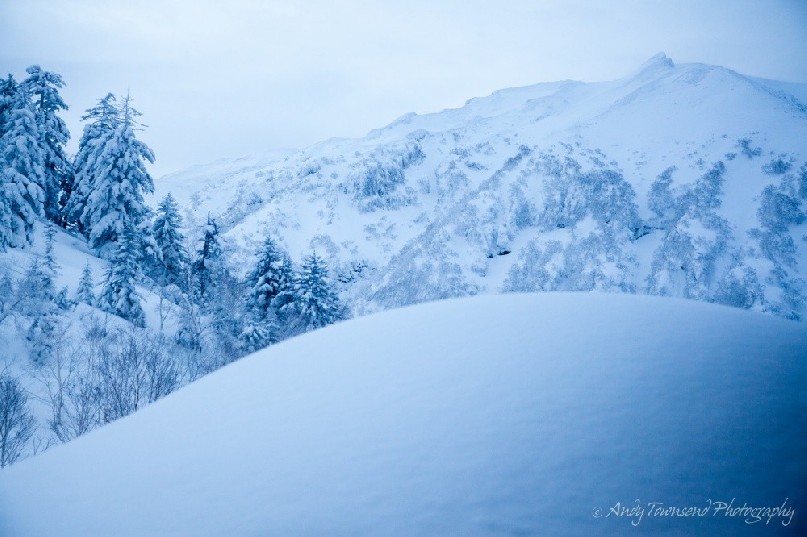 A winter vista looking towards Mt Furanodake past snow laden trees