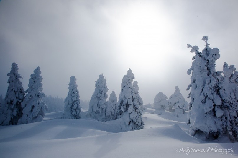A weak sun through clearing clouds reveals snow-encrusted trees and a powder snow landscape.