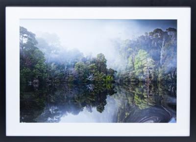 Framed Print - Pieman Reflections