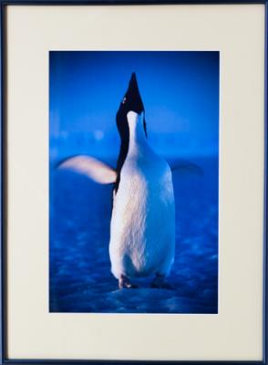 Framed Print - Ecstatic Dance