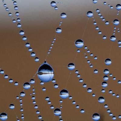 Framed Canvas Print - Web droplets