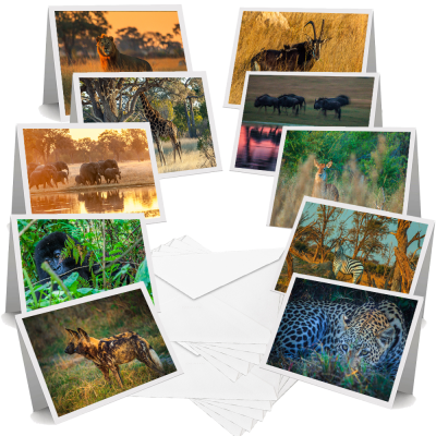 African Mammals - Greeting Cards (Pack of 10)
