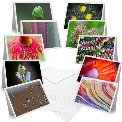 Small Things - Greeting Cards (Pack of 10)